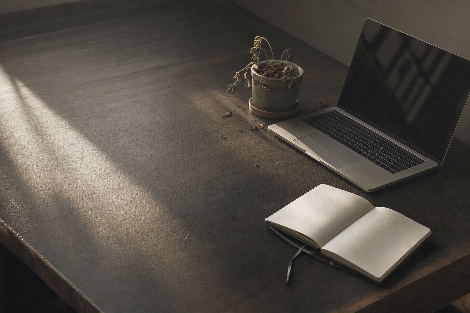 An overhead shot of an office desk with a dying plant, a powerful symbol of the employee disengagement inherent in the practice of quiet quitting.